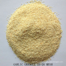 Good Color Dehydrated Garlic Granule 40-80mesh